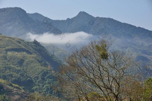 山风景.