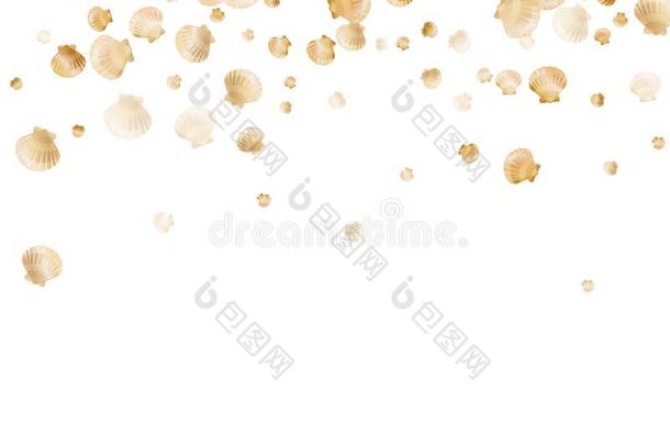 金贝壳矢量,金色的珍珠双壳类软体动物类