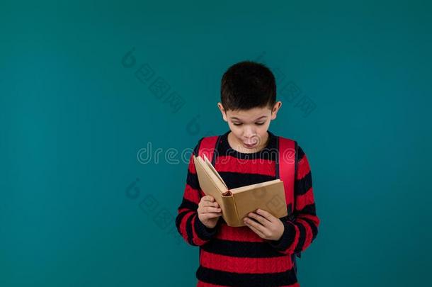 小的欢乐的学校男孩和书