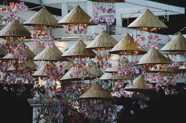 越南人春季节日装饰