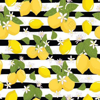 无缝的模式柠檬和树叶向有条纹的背景图片