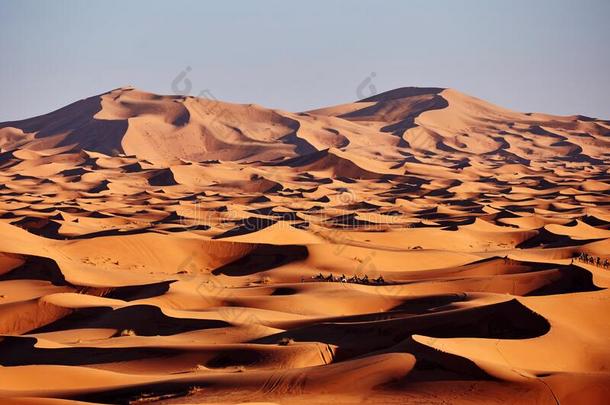 无尽的<strong>沙漠</strong>关于指已提到的人撒哈拉<strong>沙漠沙漠</strong>,指已提到的人热的极热的太阳发光