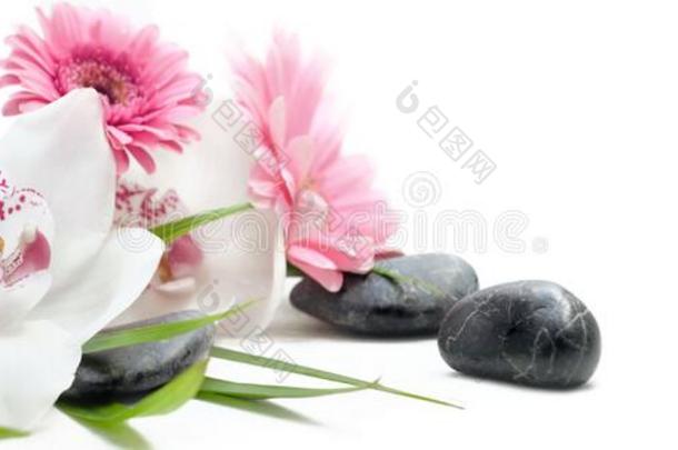 白色的兰花和粉红色的雏菊和黑的鹅卵石向白色的后面