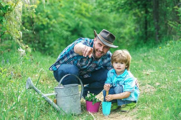 父亲和儿子园艺.小的儿子的一份他的父亲向植物