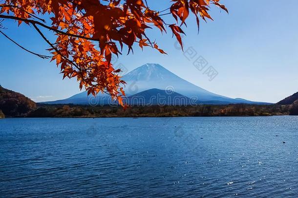 秋在秀子湖