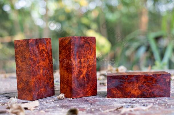 木材缅甸紫檀木节木材有条纹的异国的木材en美丽的爸