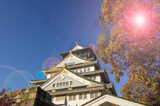 大阪城堡采用秋