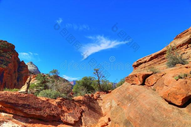 风景优美的原意：耶路撒冷的一个迦南要塞公园风景优美的风景