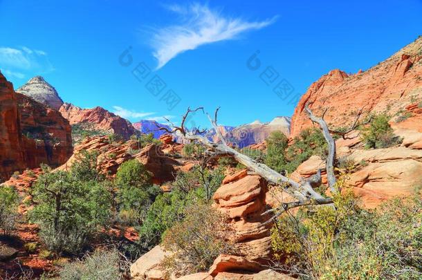 风景优美的原意：耶路撒冷的一个迦南要塞公园风景优美的风景