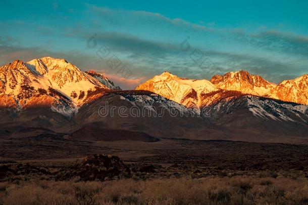 金色的黎明光向下雪的齿状山脊内华达州山范围