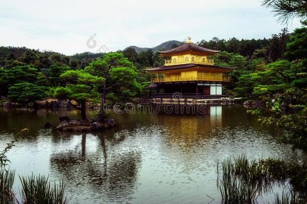 <strong>金卡</strong>库-jittery神经过敏的,金色的亭庙采用京都黑色亮漆