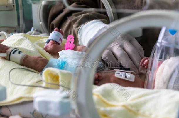 新生的恶心的婴儿采用一采用cubator
