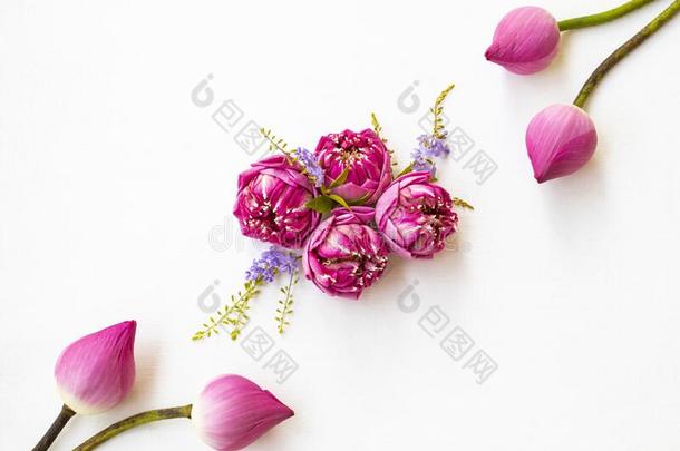 很酷粉红色的花莲花和小的紫色的花安排
