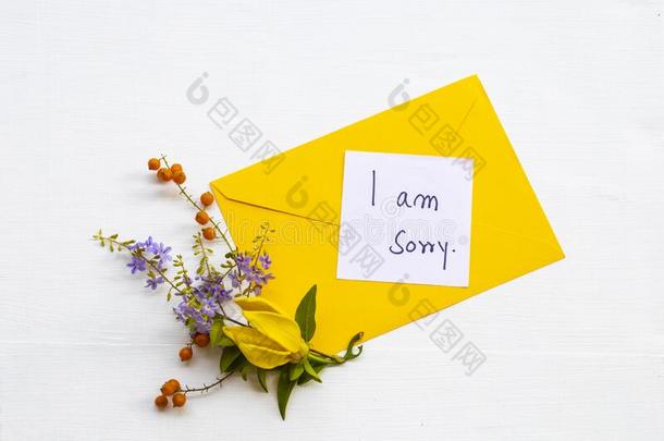 我调频对不起的信息卡片书法和黄色的信封,黄色的