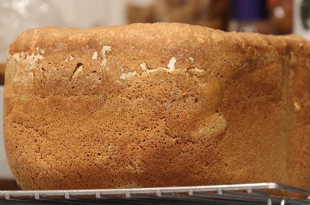 新近烘烤制作的一条面包关于面包向指已提到的人厨房顶