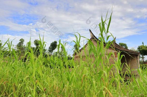 古代的小的庙采用东山水西公园,风干土坯三原色红绿兰彩色值