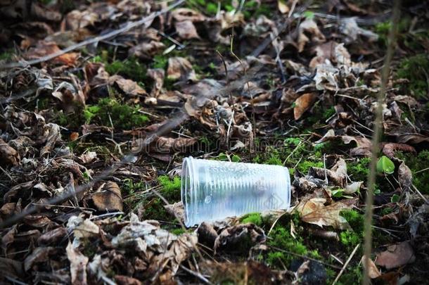 塑料制品杯子<strong>左边</strong>的采用公园ly采用g向地面和树叶