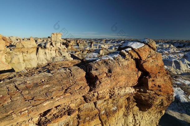 demand需要-Namibia纳米比亚-zinfandel馨芬黛葡萄酒荒<strong>野地</strong>区,比斯蒂荒原,新的墨西哥美利坚合众国