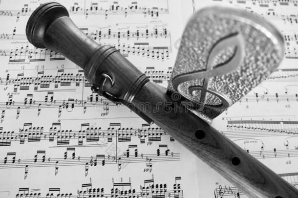 黑的和白色的摄影关于长笛和音乐纸
