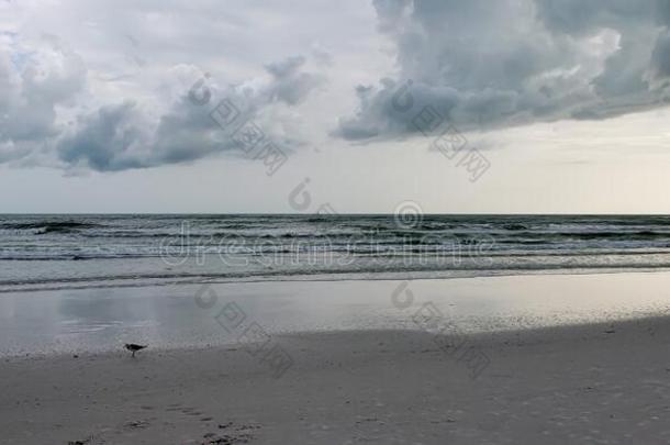 有暴风雨的海滩闲逛