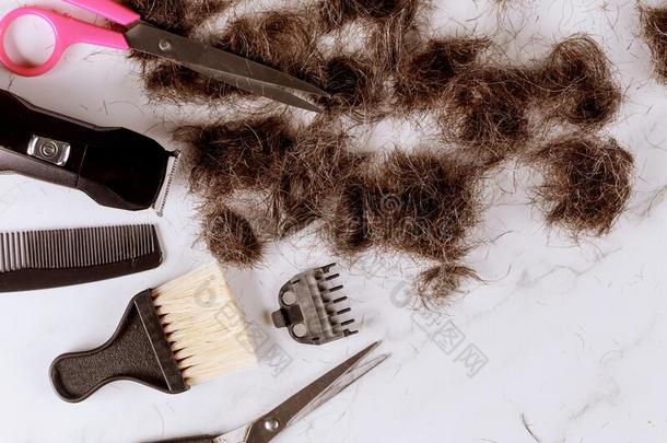 头发和剪刀向从理发师剪刀桩将切开头发向一剪刀