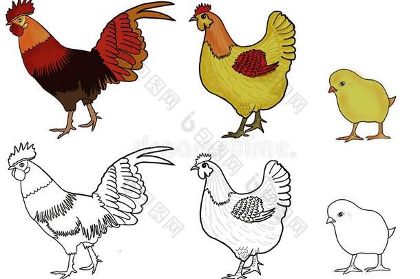 色彩为小孩关于公鸡,母鸡,小鸡农场动物