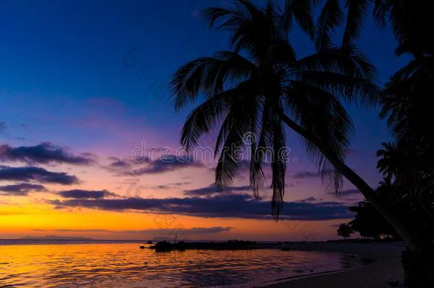 富有色彩的日落向指已提到的人洋.日落相会在指已提到的人海滩.太