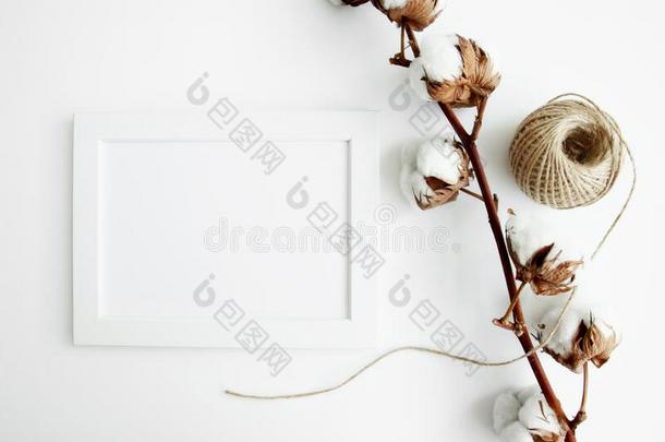 白色的墙和黑暗的树装饰现代的框架书桌家装饰