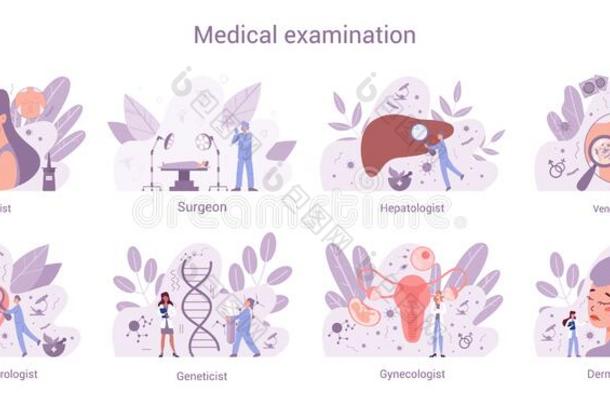 医学的专门蜘蛛网横幅观念放置.妇科医生和全部的