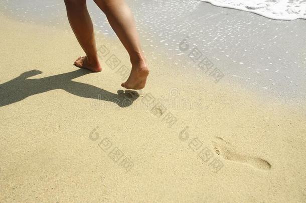 <strong>脚印</strong>采用指已提到的人沙向指已提到的人海滩