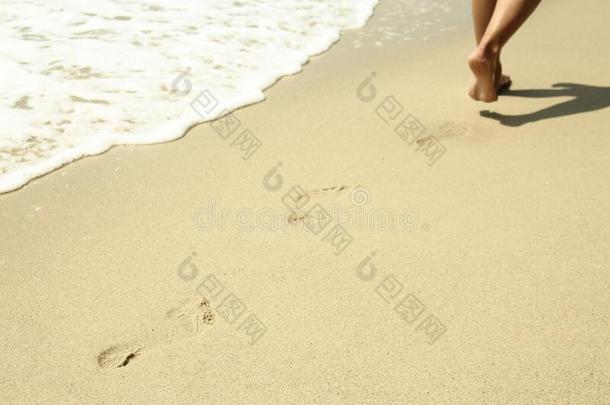 <strong>脚印</strong>采用指已提到的人沙向指已提到的人海滩