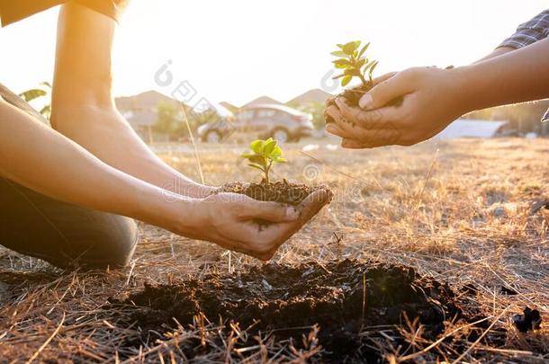 两个年幼的人种<strong>植树</strong>向保护指已提到的人environ人t