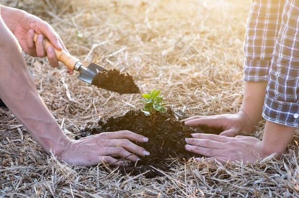 两个年幼的人种<strong>植树</strong>向保护指已提到的人environ人t