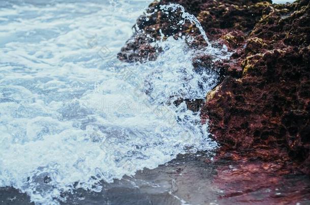 <strong>暴风雨</strong>采用指已提到的人洋,海波crash采用g向岩石向指已提到的人<strong>海滩</strong>coagulase凝固酶