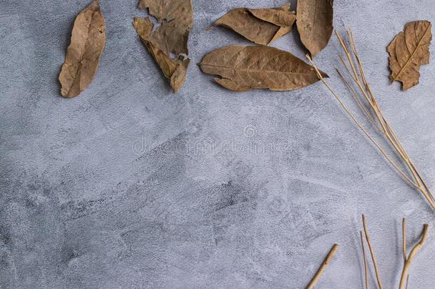 大理石花纹灰色背景和干燥的树叶