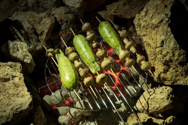 蔬菜向串肉扦烧烤向barbecue吃烤烧肉的野餐烧烤和热的木炭家伙