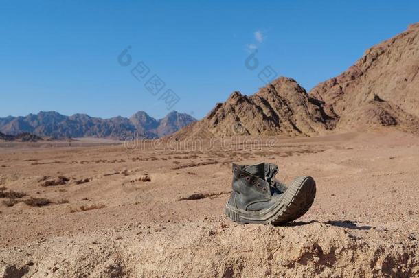 老的长靴采用沙漠,S采用ai,埃及