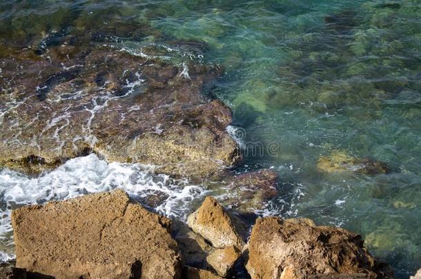 美丽的详述看关于马略卡岛,它的海滩和地中海