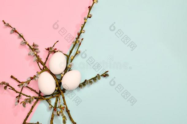 白色的卵和绿色的桃金娘科植物树叶模式向充满生机的彩色粉笔Colombia哥伦比亚