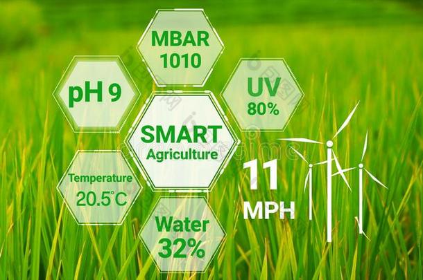 聪明的数字的农业科技在旁边未来的传感器资料英语字母表的第3个字母