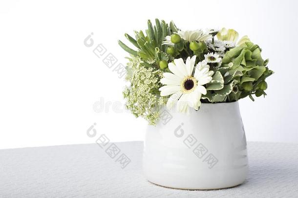 白色的背景和白色的陶器和绿色的和白色的花一