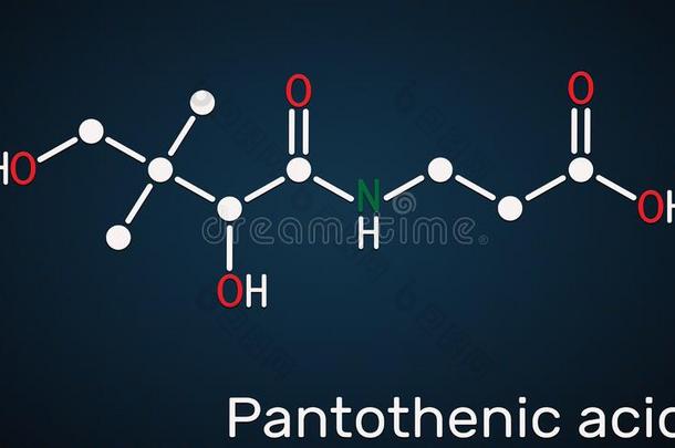 泛酸的酸味的,维生素英语字母表的第2个字母5,泛酸分子.结构的