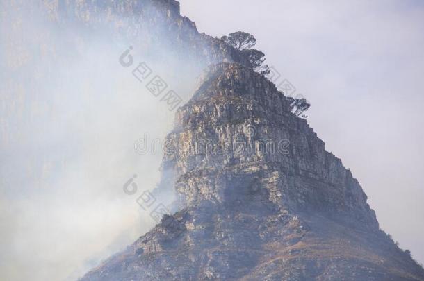 戏剧的野火和大风力风向Li向`英文字母表的第19个字母上端山,