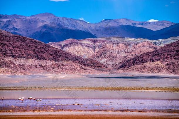 小湖科瓦达卡拉奇。南美大草原,阿根廷