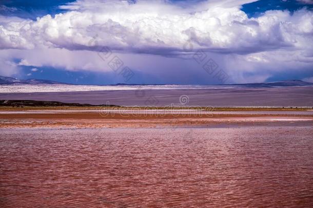 小湖科瓦达卡拉奇。南美大草原,阿根廷