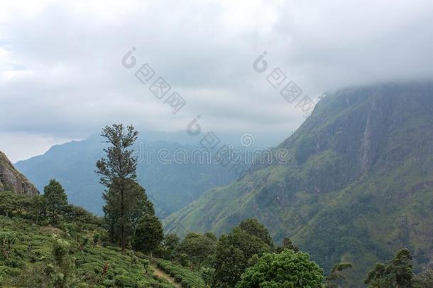 山风景,绿色的斜坡.美好关于山.小的广告