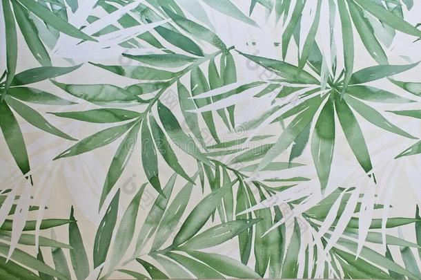 现代的壁纸和手掌蕨类或棕榈类植物的叶子.