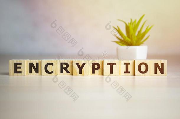 编密码单词向木制的立方形的东西,加密和安全c向cept