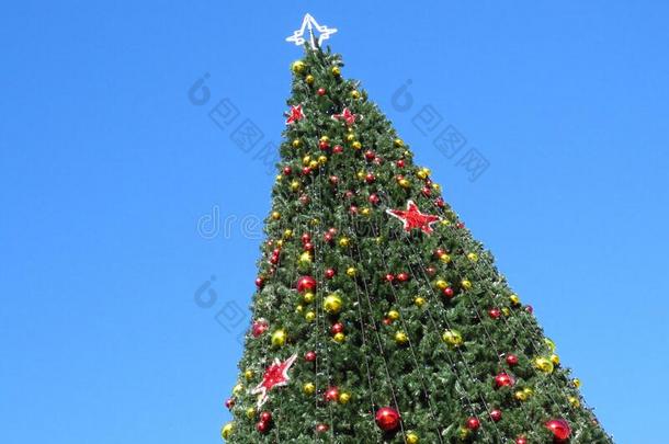 圣诞节树反对蓝色天.幸福的节日的快乐的心情.新的