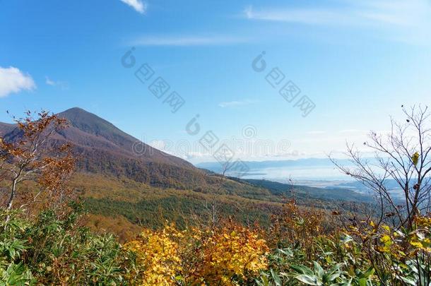 福岛观光地区采用黑色亮漆